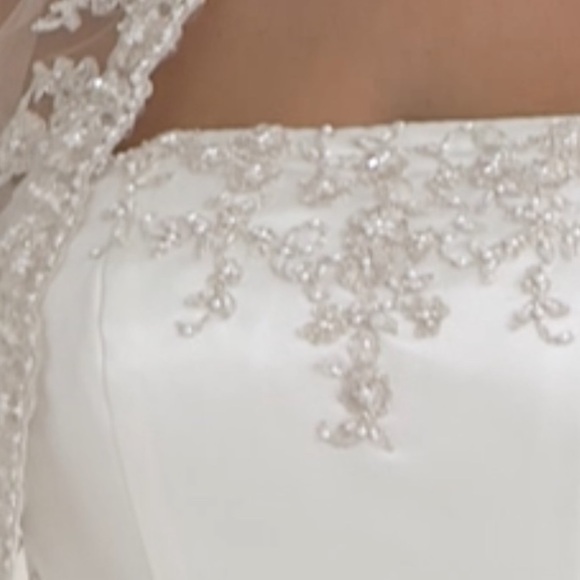 DAVID'S BRIDAL COLLECTION 14W Wedding Dress with Beaded Lace Jacket STYLE#V8835 - Picture 9 of 15